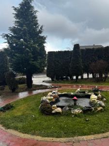 Уютно планинско студио с басейн в комплекс Алпин Лодж