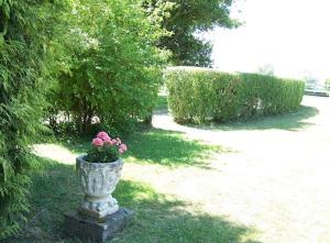 Gîte for rent, enjoy silence & nature