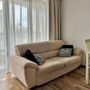 Luxury rest Dolphin Club