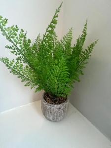 4BR Modern & Stylish, Contractors, Parking