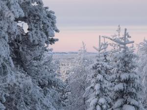 Hietavilla Pläk- Hot tube - Sauna - Fireplace - 11kW EV-refuel - Landscape view - Silence - Free WiFi