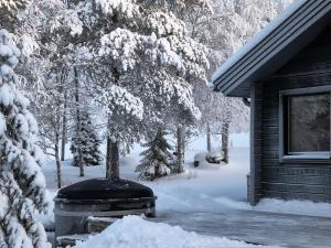 Hietavilla Pläk- Hot tube - Sauna - Fireplace - 11kW EV-refuel - Landscape view - Silence - Free WiFi