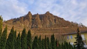 Historische Villa mit Drachenfels-Blick