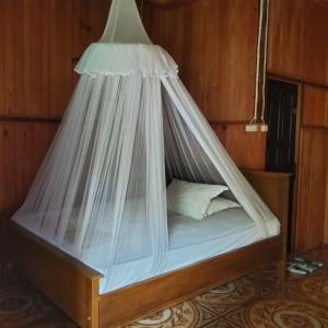 Diving Mansuar and home