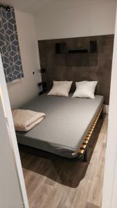 Mobil home NEUF 6-8 places en Camping 4etoiles Saint Cyprien