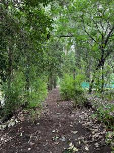 Casa de verano Marcos Lopez