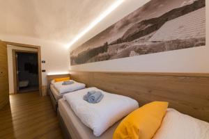 Latemar Fiemme Apartments 1