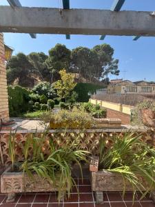 Family home with pool and garden in Tudela center