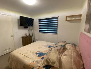 Verano en Frutillar tu casa ideal te espera