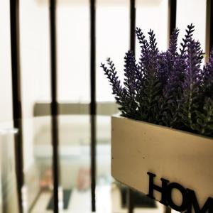 Király Apartment Unit 1