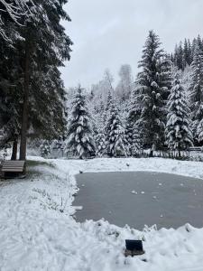 Дебрі - Тиша, Озеро і Вудка