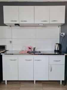 ARKIME HOUSE 1, grande y cómodo