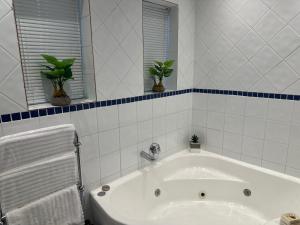 PIPS Place Penthouse 501