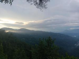 Maa Durga Homestay