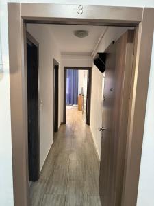 Central Confort Apartament