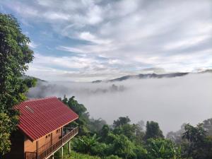 Thammachart The Nature