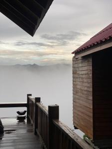 Thammachart The Nature