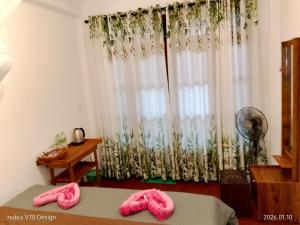 Aloe Vera Garden Homestay