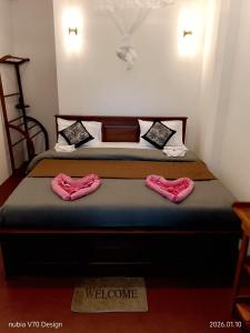 Aloe Vera Garden Homestay