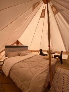 Desert Romance Retreat