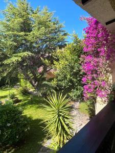 Appartamento con giardino img23