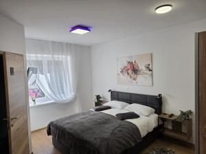 Prenočišča Dany 3