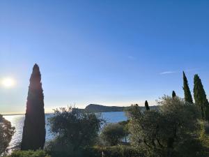 Villa Ulivi Relaxing Home with pool and lake view