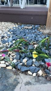 Bungalow in Maspalomas