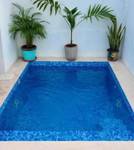 EXCELENTE ALBERCA PRIVADA EN RESIDENCIAL PRIVADO, GYM, asador