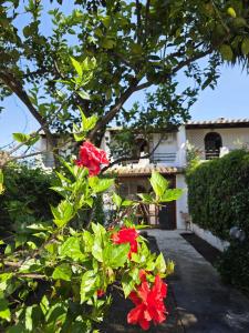 Casa Nicklaus - Villetta 150mt dalla Spiaggia Flumini di Quartu