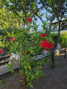 Casa Nicklaus - Villetta 150mt dalla Spiaggia Flumini di Quartu