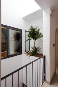 SIMBA homestay Huế