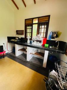 Jungle view one bedroom apartment