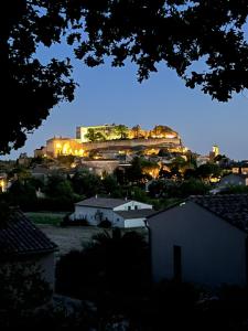 Les terrasses du château