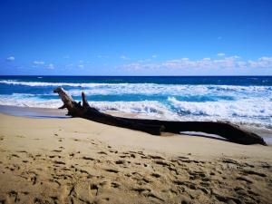 Li Conchi Villa 17 img52