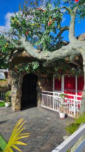 S & B Dreams House