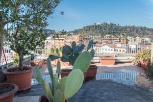 Attico vista panoramica San Pietro Luxury sleep