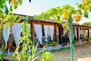 Beautiful apartment surrounded by greenery