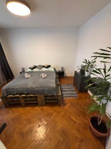 Útulný byt blízko centra Košíc