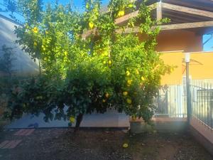 Casale Gabriella Alloggio ergonomico e spazioso