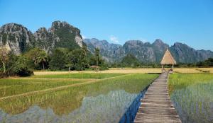 Garden Villa in VangVieng