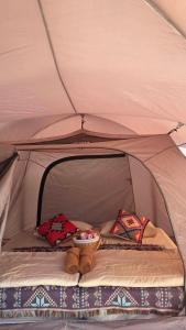 ThungLakorn Nornplen Camping ทุ่งละครนอนเพลิน