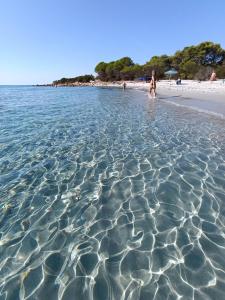 Villa le palme img45