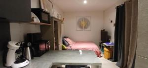 Studio 20m2 climatisation reversible 3 pers 2 animaux
