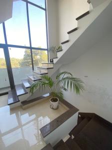 One bhk studio apartment, mohali