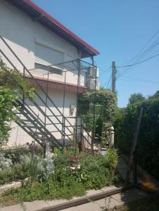 Vila Georgeta, Camere de închiriat