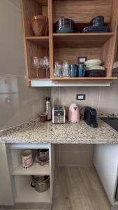 Andean Sky - Mendoza from above