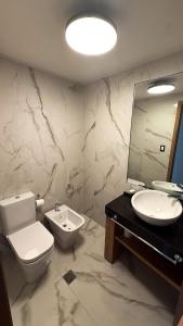 Andean Sky - Mendoza from above