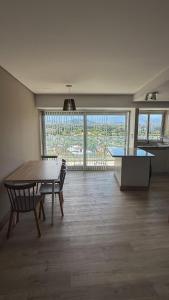 Andean Sky - Mendoza from above