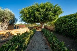Il Baglio di san marco